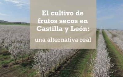 CBH na conferência “O cultivo de frutos secos em Castela e Leão: uma alternativa real”