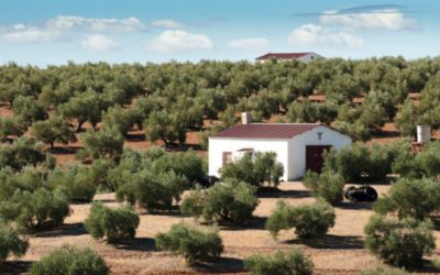 Avaliação de propriedades rústicas na Andaluzia