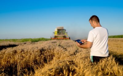 10 razões pelas quais é lucrativo investir no setor agrícola