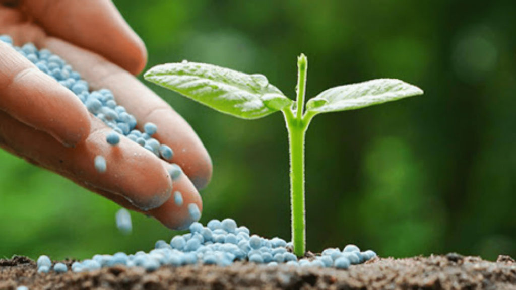 fertilización agricola, aporte de nutrientes a las plantas