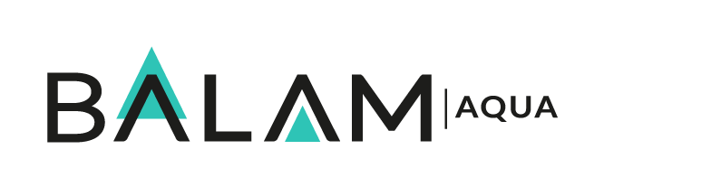 LOGO_BALAM_DEF (2)