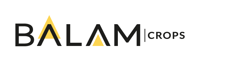 LOGO_BALAM_DEF_ (1)