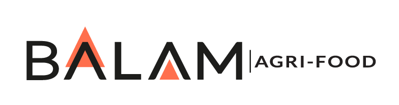 LOGO_BALAM_DEF_06 (1)