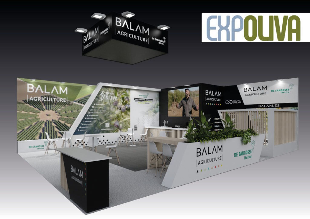 Stand BALAM