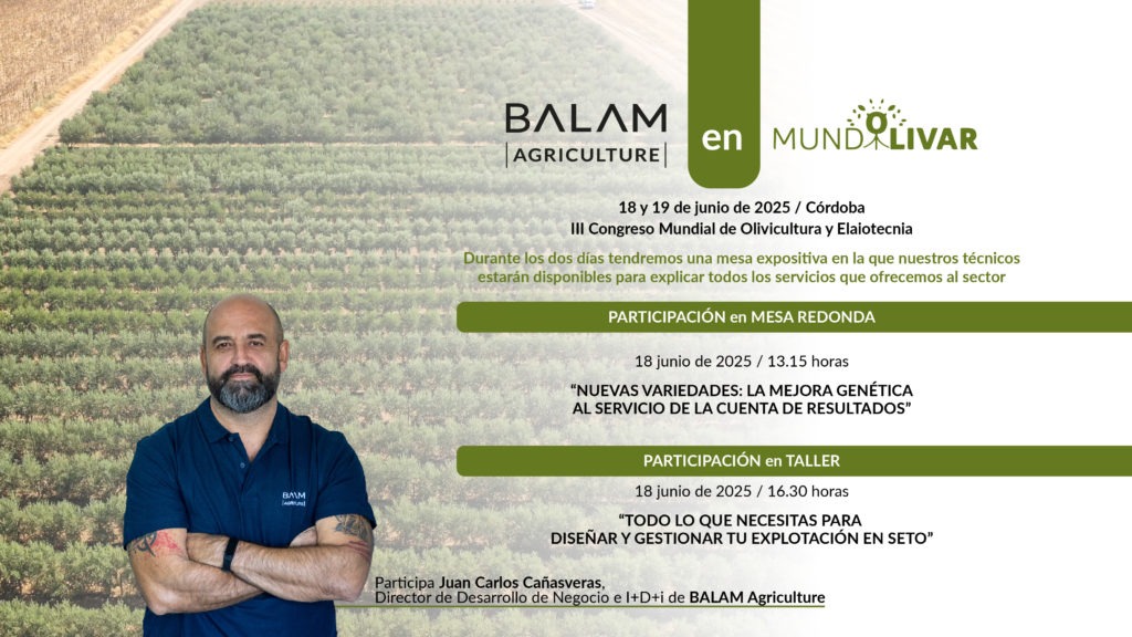 BALAM MUNDOLIVAR 2025