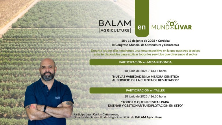 BALAM MUNDOLIVAR 2025