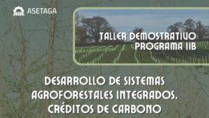 Cartel Portada Taller Creditos carbono