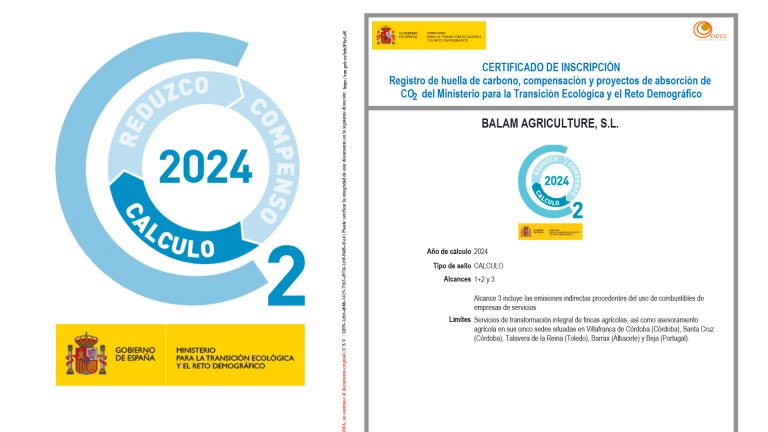 Certificado Calculo huella carbono BALAM